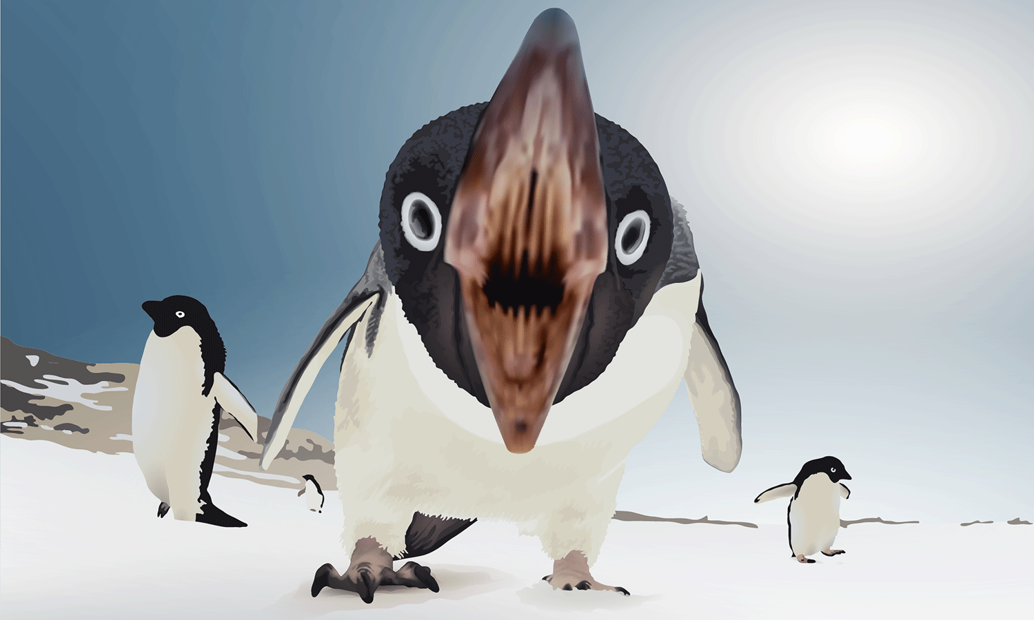 Penguin illustration