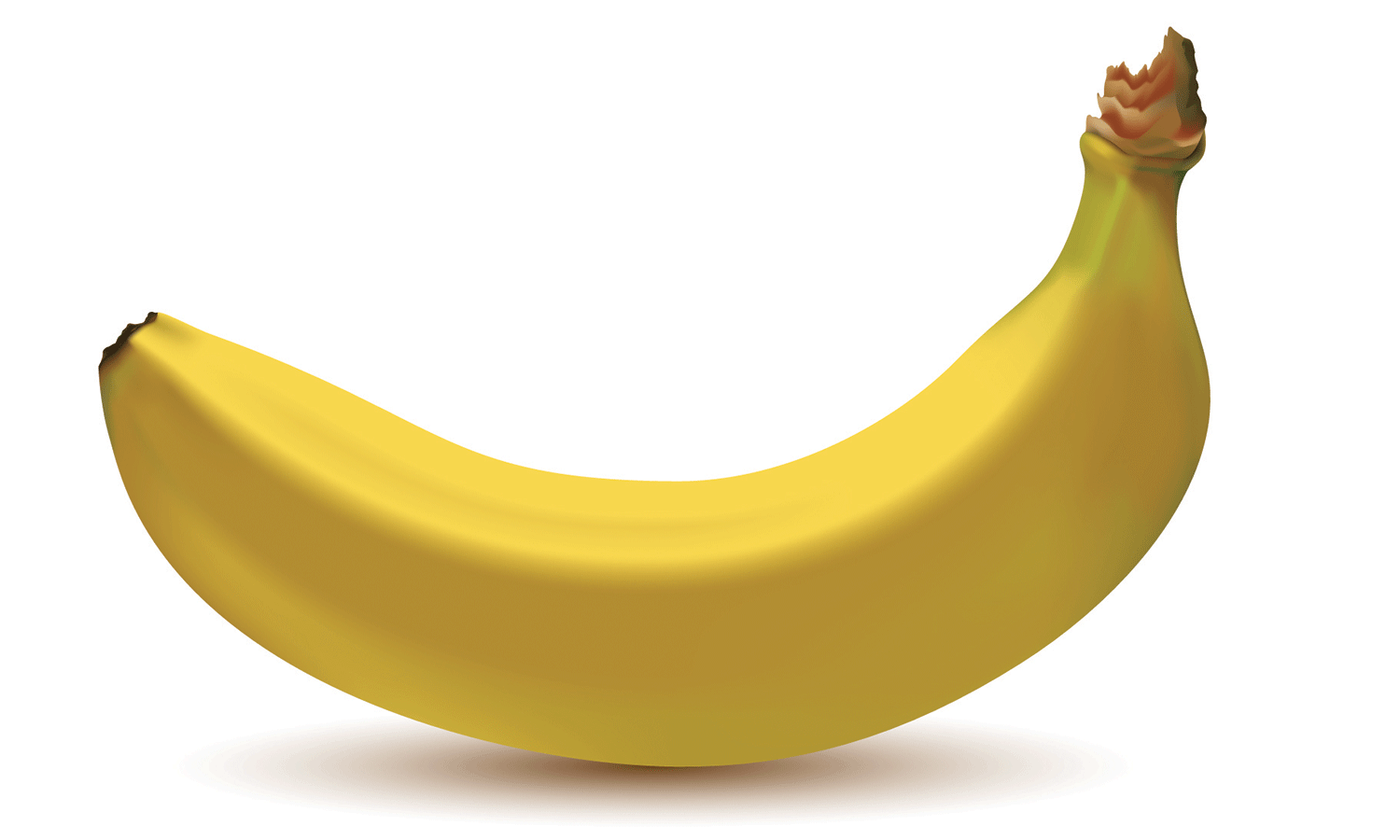 Banana illustration